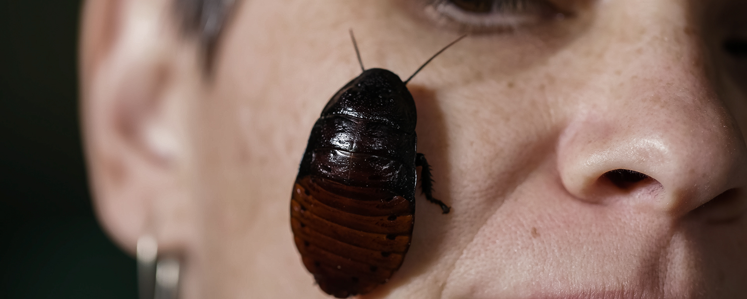 close up of a woman with a bug on her face
