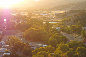 drone shot of forest in sunset