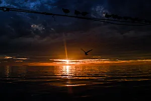beautiful sunset and birds at the Gulf of California