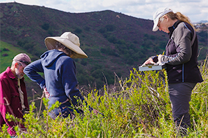 three people collecting data in nature