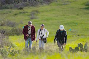 three volunteers walking