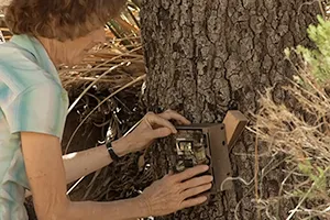 woman and tree