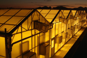 Greenhouses being used for research on the Lunar Laboratory Project.